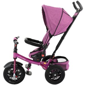 Tricicleta 4 in 1 rotativa cu pozitie de somn Little Bird pink/mov - Image 10