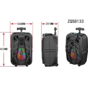 Boxa portabila ZQS-8133, microfon, 100W - Image 3