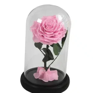 trandafir criogenat xl rosu ø6,5cm, cupola sticla 10x20cm - Image 1